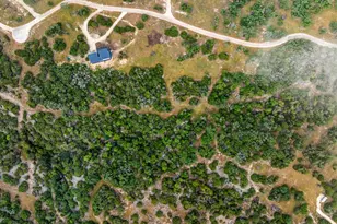 337 Colt Valley Rd, Fredericksburg, TX 78624 - Photo 25