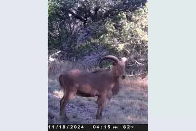 180 Bee Hive Rd, Hunt, TX 78024 - Photo 15