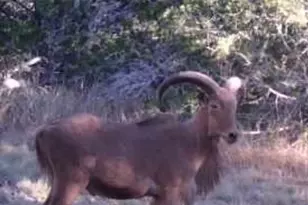 180 Bee Hive Rd, Hunt, TX 78024 - Photo 15