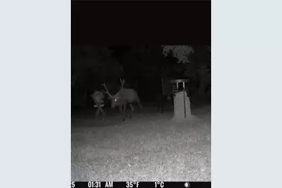 180 Bee Hive Rd, Hunt, TX 78024 - Photo 5