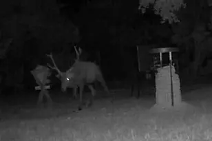 180 Bee Hive Rd, Hunt, TX 78024 - Photo 5