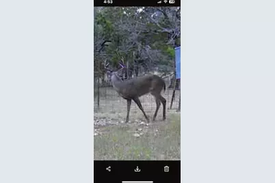 180 Bee Hive Rd, Hunt, TX 78024 - Photo 7