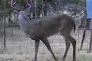 180 Bee Hive Rd, Hunt, TX 78024 - Photo 7