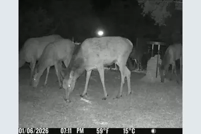180 Bee Hive Rd, Hunt, TX 78024 - Photo 53