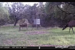 180 Bee Hive Rd, Hunt, TX 78024 - Photo 19