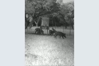 180 Bee Hive Rd, Hunt, TX 78024 - Photo 35