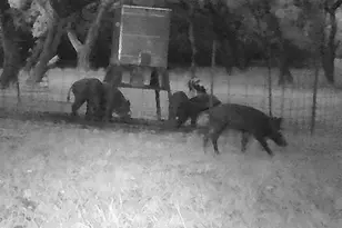 180 Bee Hive Rd, Hunt, TX 78024 - Photo 35