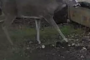 180 Bee Hive Rd, Hunt, TX 78024 - Photo 3