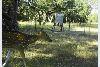 180 Bee Hive Rd, Hunt, TX 78024 - Photo 37