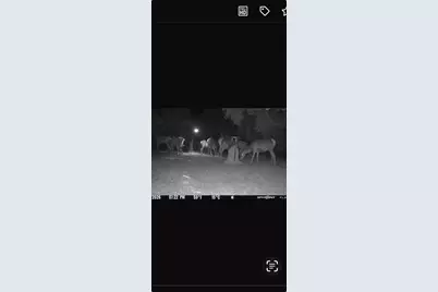 180 Bee Hive Rd, Hunt, TX 78024 - Photo 51