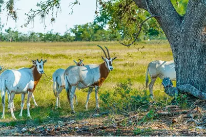 556 Cliff View Loop, Harper, TX 78631 - Photo 95