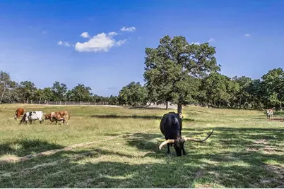 451 Achtzehn Rd, Fredericksburg, TX 78624 - Photo 3