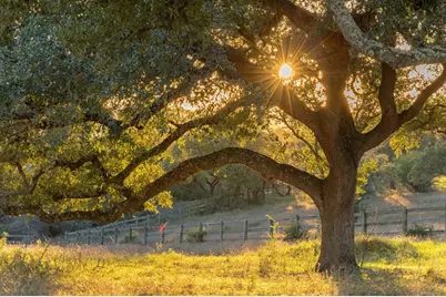 Lot 2 Moreh Peak, Austin, TX 78738 - Photo 11