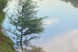 1215 Democrat St, Blanco, TX 78606 - Photo 35