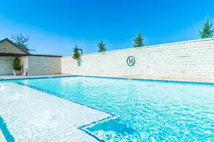 170 Goose Landing Way, Harper, TX 78631 - Photo 59