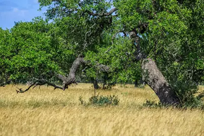 Lot 94 Stock Pond Dr, Harper, TX 78631 - Photo 51