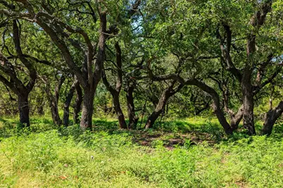 10940 W US Hwy 290, Johnson City, TX 78635 - Photo 41