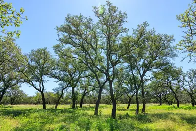 10940 W US Hwy 290, Johnson City, TX 78635 - Photo 43
