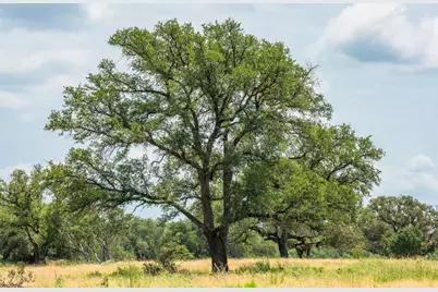 2602 County Rd 406, Llano, TX 78643 - Photo 25