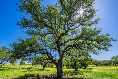 2602 County Rd 406, Llano, TX 78643 - Photo 9