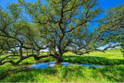2602 County Rd 406, Llano, TX 78643 - Photo 29
