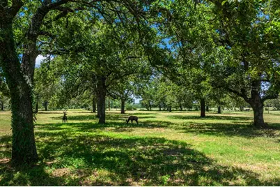 772 Luckenbach Rd, Fredericksburg, TX 78624 - Photo 75