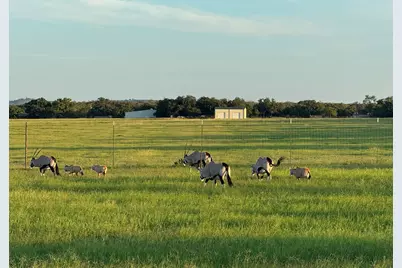 772 Luckenbach Rd, Fredericksburg, TX 78624 - Photo 69