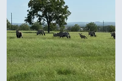 772 Luckenbach Rd, Fredericksburg, TX 78624 - Photo 71