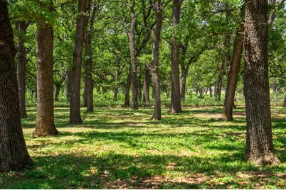 221 Pyka Rd, Fredericksburg, TX 78624 - Photo 29
