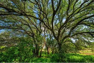 7602 County Rd 113, Llano, TX 78643 - Photo 9