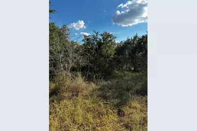 103 Lee Hall, Blanco, TX 78606 - Photo 9