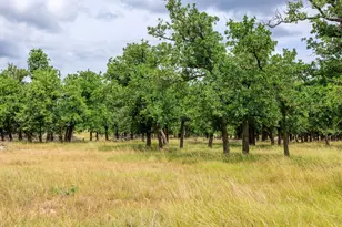 11453 N US Hwy 87, Fredericksburg, TX 78624 - Photo 43