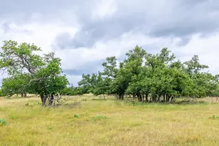 11453 N US Hwy 87, Fredericksburg, TX 78624 - Photo 39