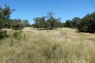 461 Himmel Rd, Fredericksburg, TX 78624 - Photo 5