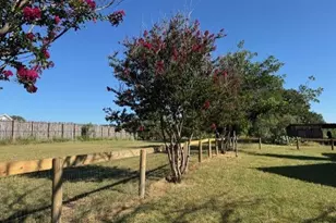 387 Schmidtzinsky Rd, Fredericksburg, TX 78624 - Photo 29