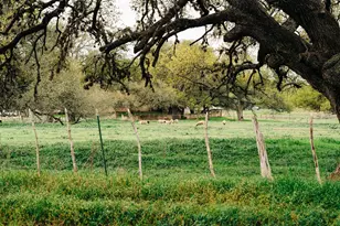 203 S Creek St, Fredericksburg, TX 78624 - Photo 73