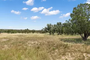 434 Gold-Schaefer Rd, Fredericksburg, TX 78624 - Photo 29