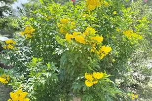 613 N Harper St, Kerrville, TX 78028 - Photo 19