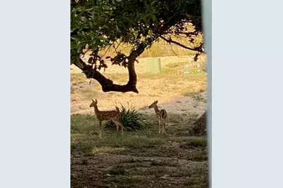 2305 Summit Forest, Fredericksburg, TX 78624 - Photo 37