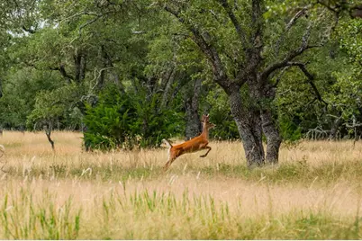 Lot 33 Nott Branch Rd, Harper, TX 78631 - Photo 3