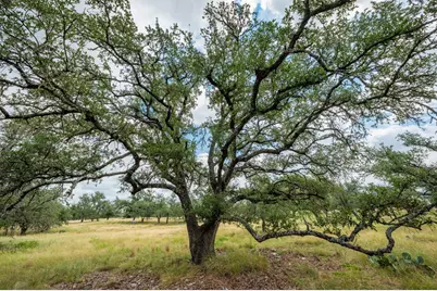 Lot 33 Nott Branch Rd, Harper, TX 78631 - Photo 9