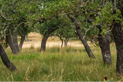 Lot 33 Nott Branch Rd, Harper, TX 78631 - Photo 11