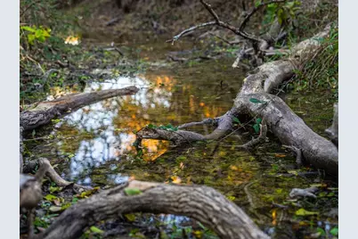 326 N Lehne Lane, Fredericksburg, TX 78624 - Photo 1