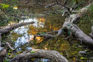 326 N Lehne Ln, Fredericksburg, TX 78624 - Photo 1