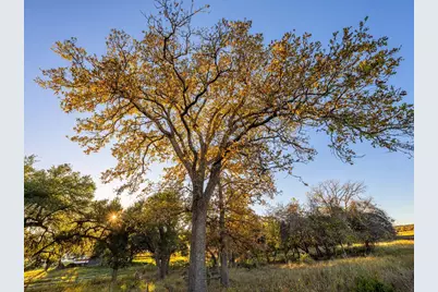 326 N Lehne Lane, Fredericksburg, TX 78624 - Photo 11