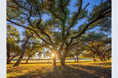 326 N Lehne Lane, Fredericksburg, TX 78624 - Photo 13
