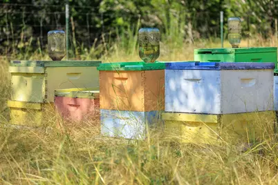 713 Ranch Rd 1320, Johnson City, TX 78636 - Photo 23