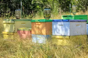 713 Ranch Rd 1320, Johnson City, TX 78636 - Photo 23