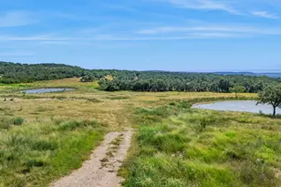 716 Arbor Ridge Rd, Fredericksburg, TX 78624 - Photo 7