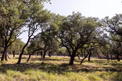 176 Jenna Ln, Harper, TX 78631 - Photo 5